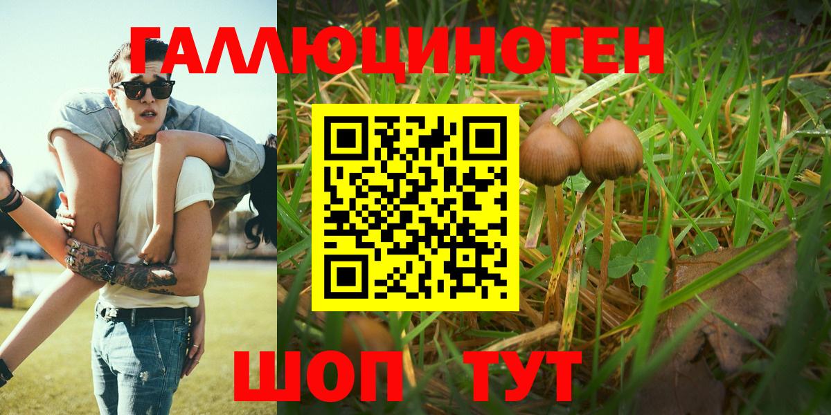 Псилоцибиновые грибы Psilocybe  наркота  Партизанск  Вход с VPN 