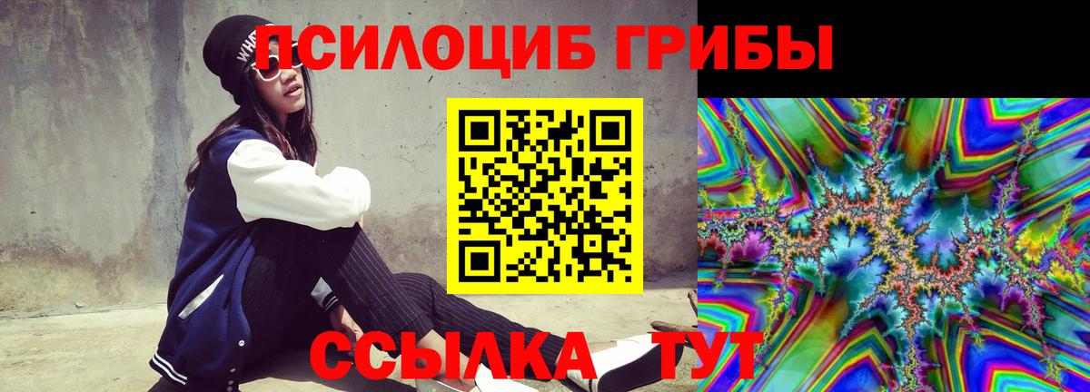 Галлюциногенные грибы Psilocybine cubensis Партизанск
